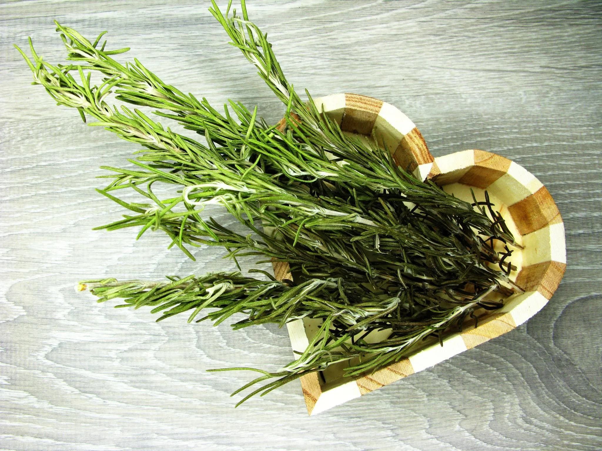 Sprigs of fresh aromatic rosemary